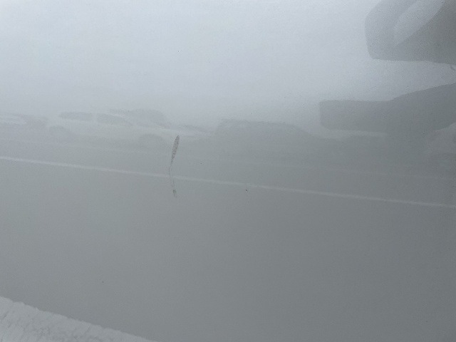 282.jpg