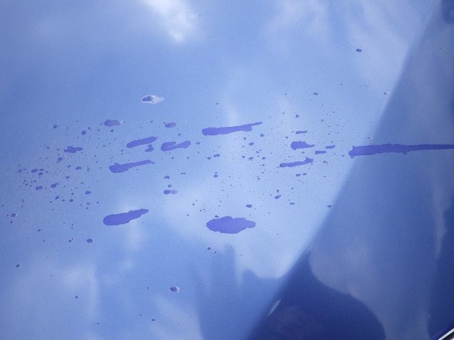 292.jpg