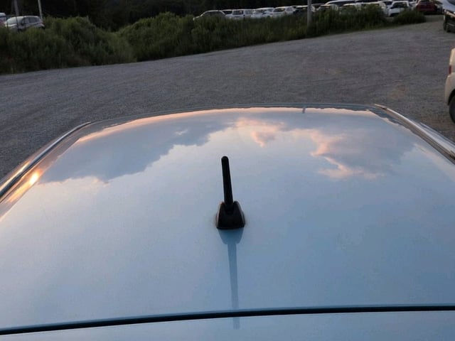 284.jpg