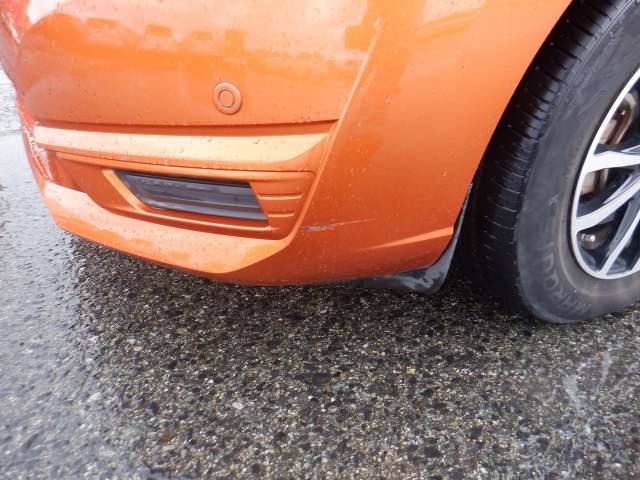 281.jpg