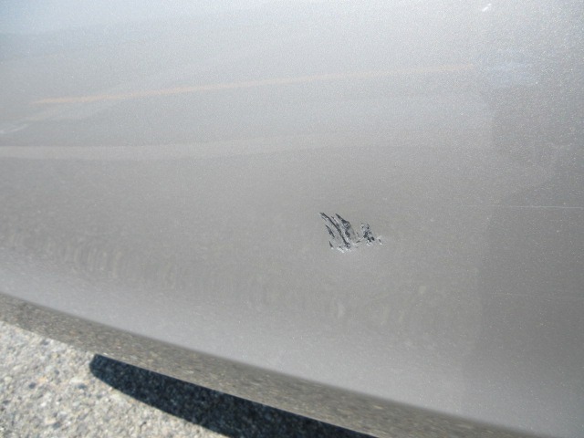 281.jpg