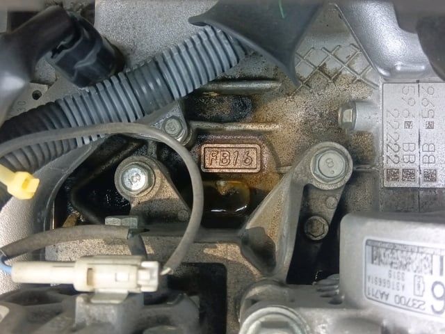 287.jpg