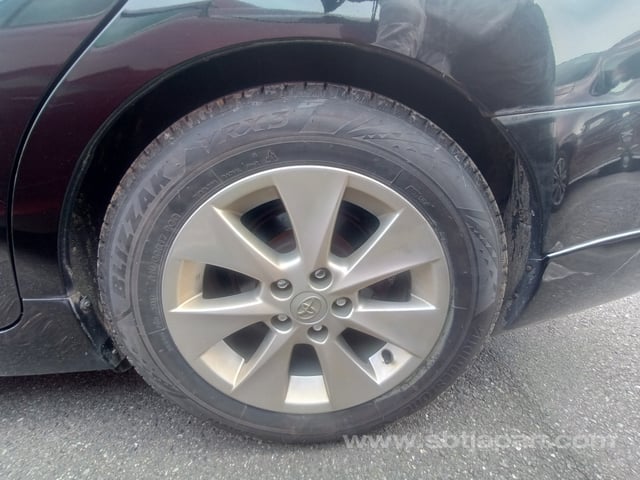 31.jpg