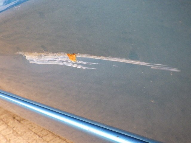 293.jpg