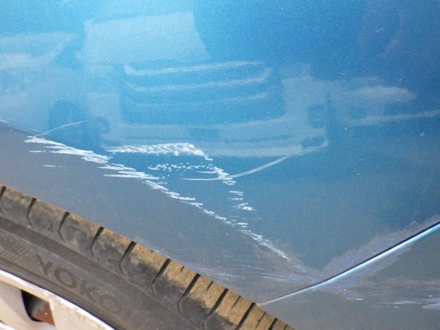 296.jpg