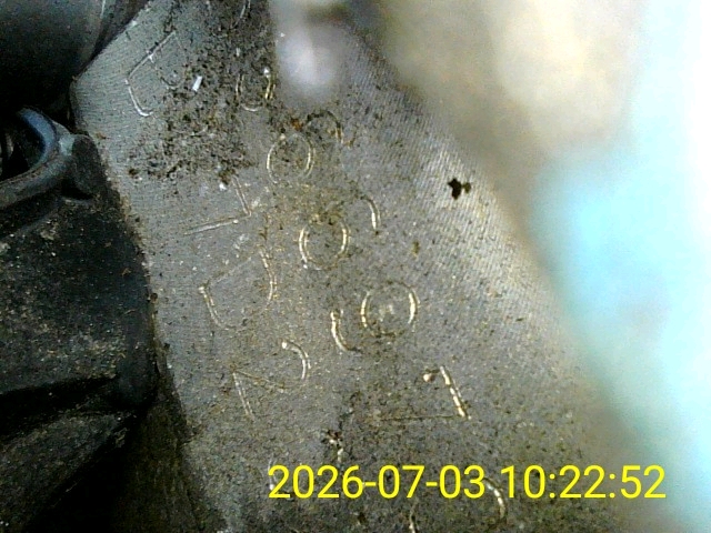 283.jpg
