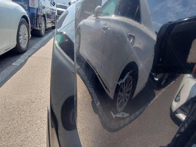 281.jpg