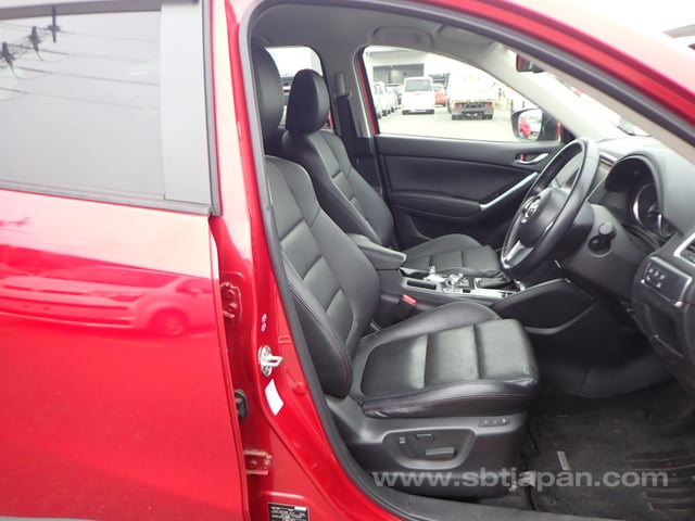10.jpg