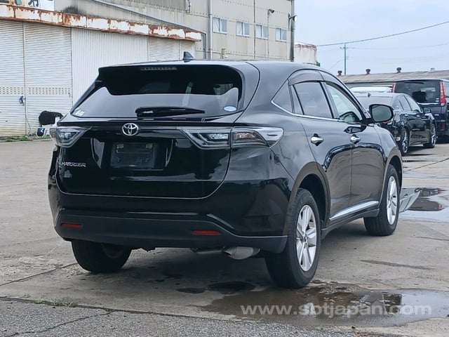 45.jpg
