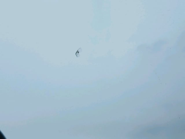 301.jpg