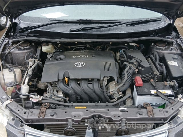 29.jpg