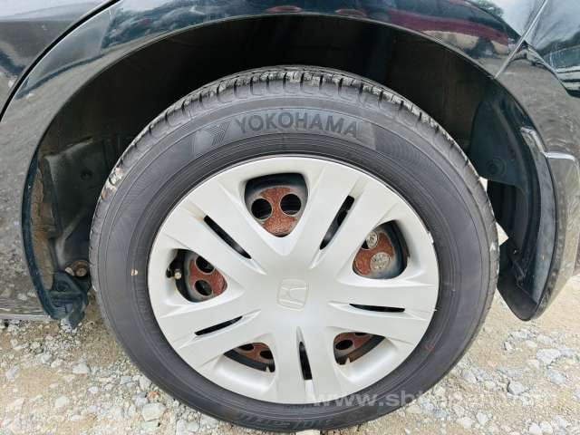 41.jpg