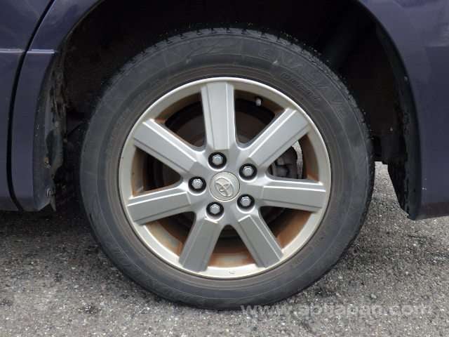 41.jpg