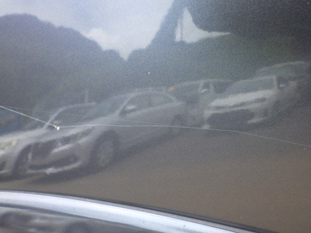 285.jpg