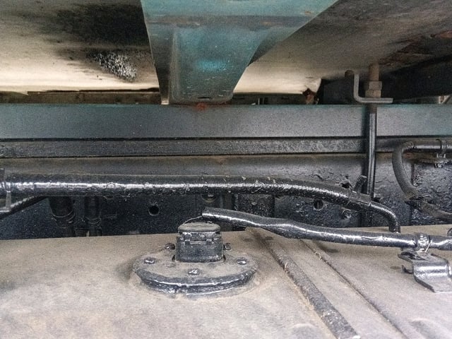 286.jpg