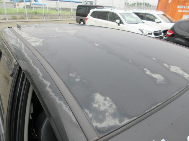 285.jpg