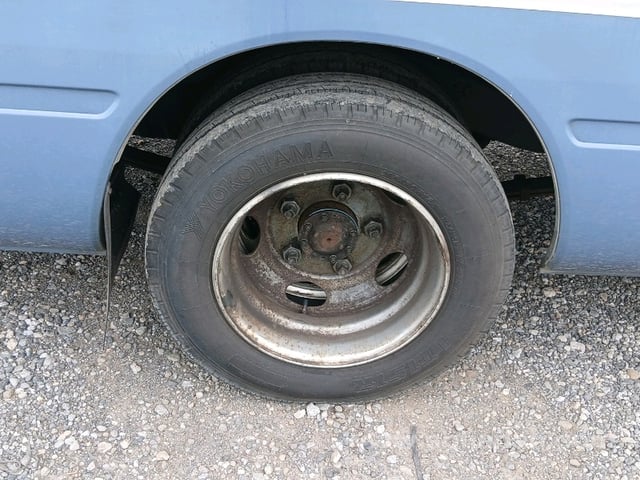 32.jpg