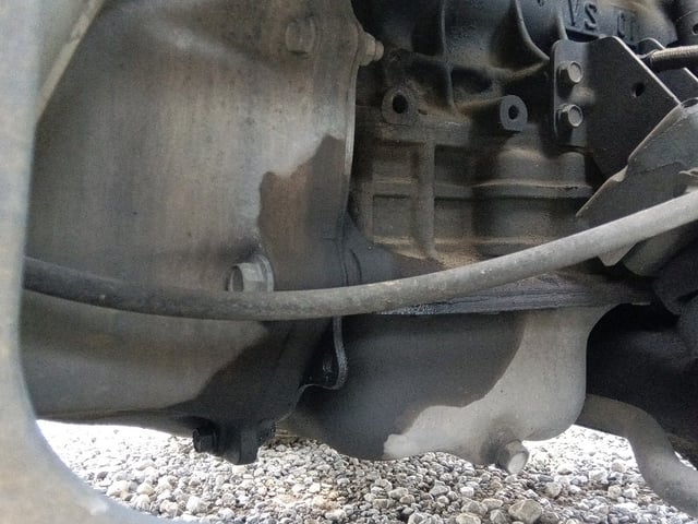 282.jpg