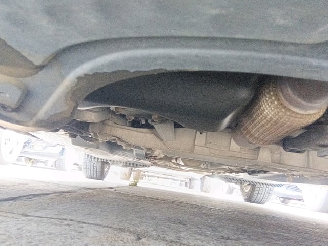 286.jpg