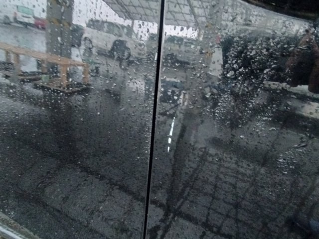 294.jpg
