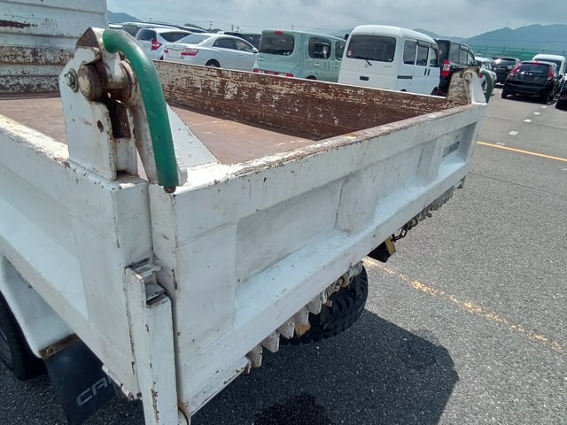 290.jpg
