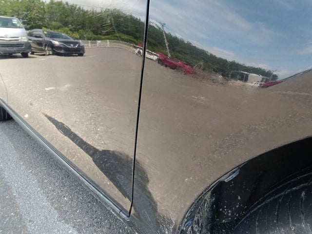 286.jpg
