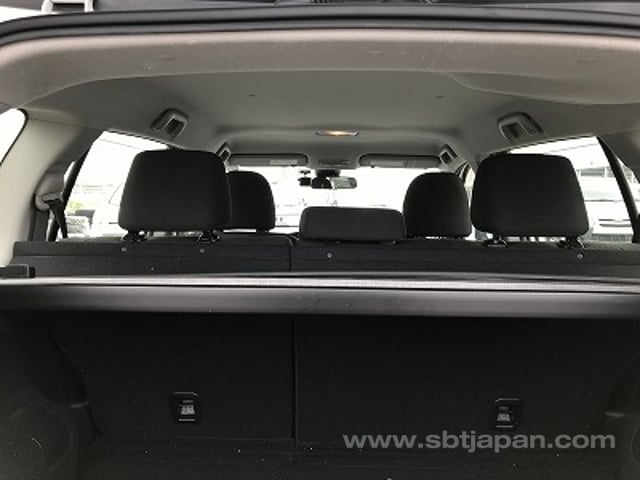35.jpg