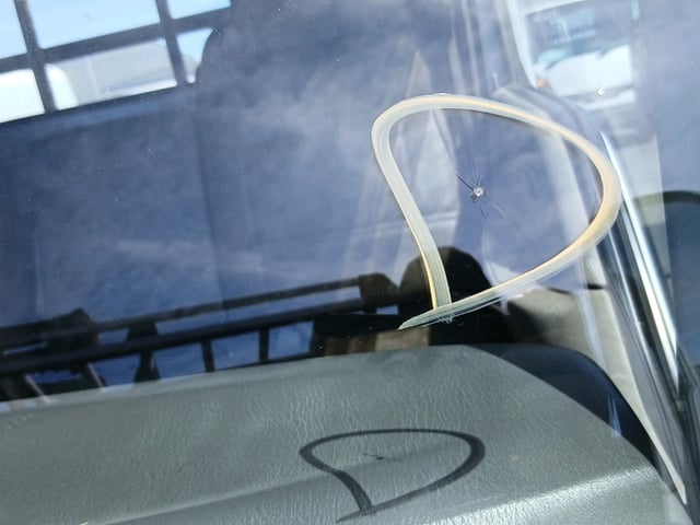 281.jpg