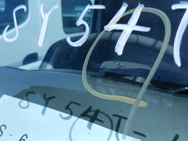 283.jpg