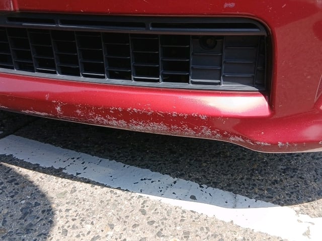 282.jpg