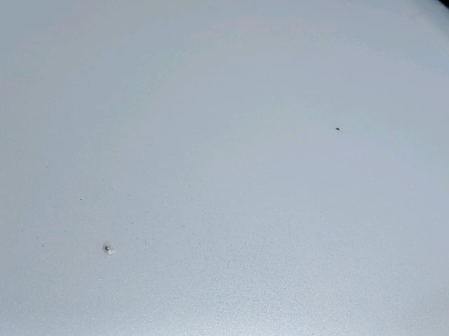 284.jpg