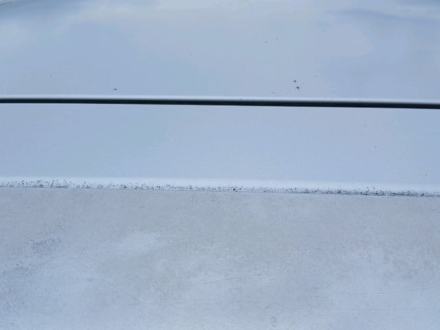 280.jpg