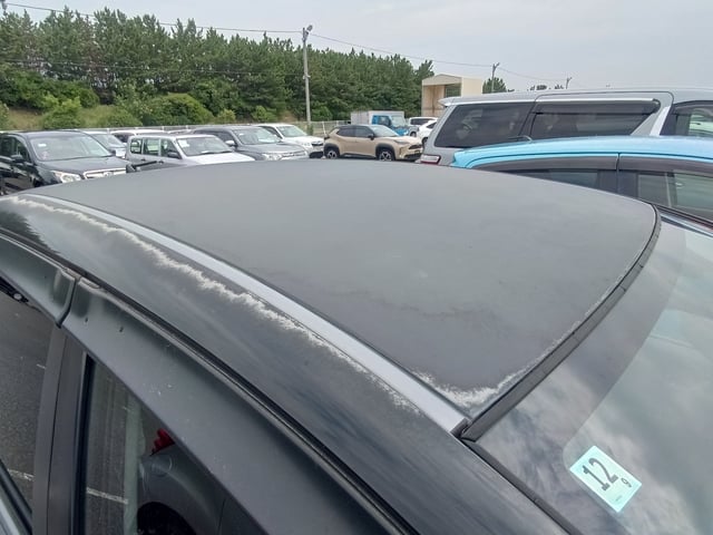 281.jpg