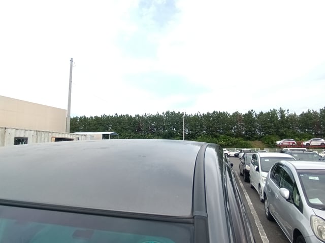 280.jpg