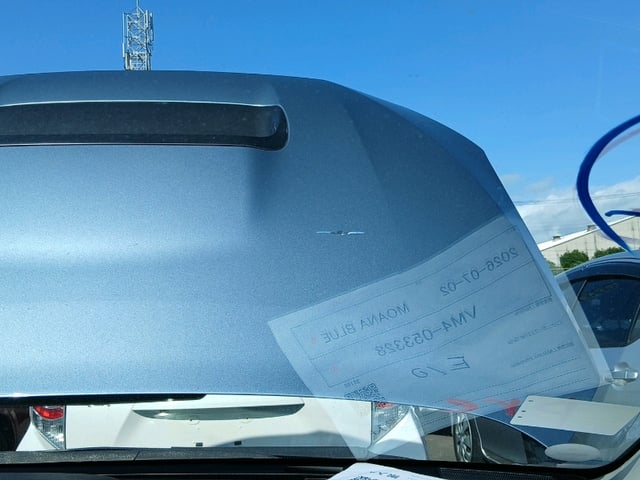318.jpg
