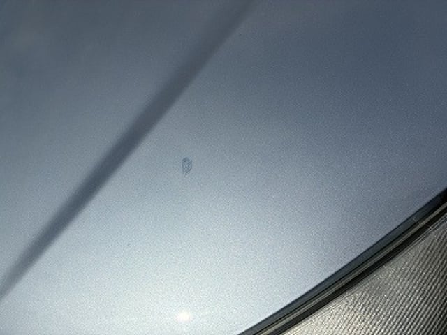 281.jpg