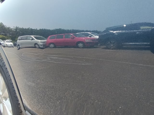 281.jpg
