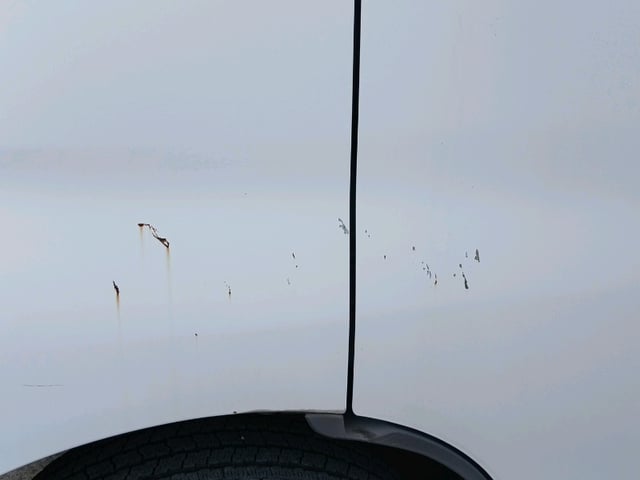 280.jpg