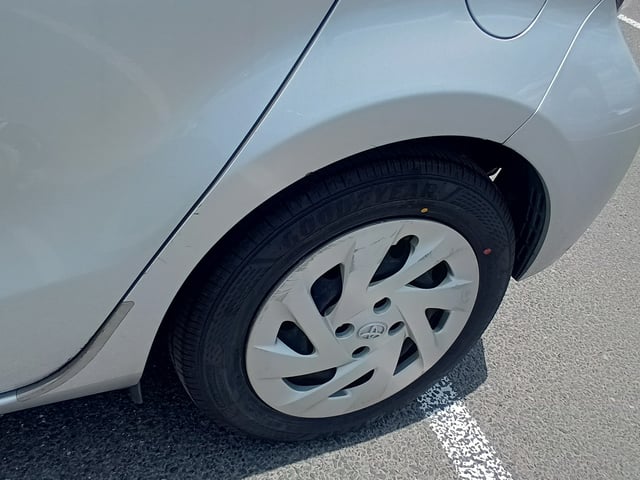 281.jpg