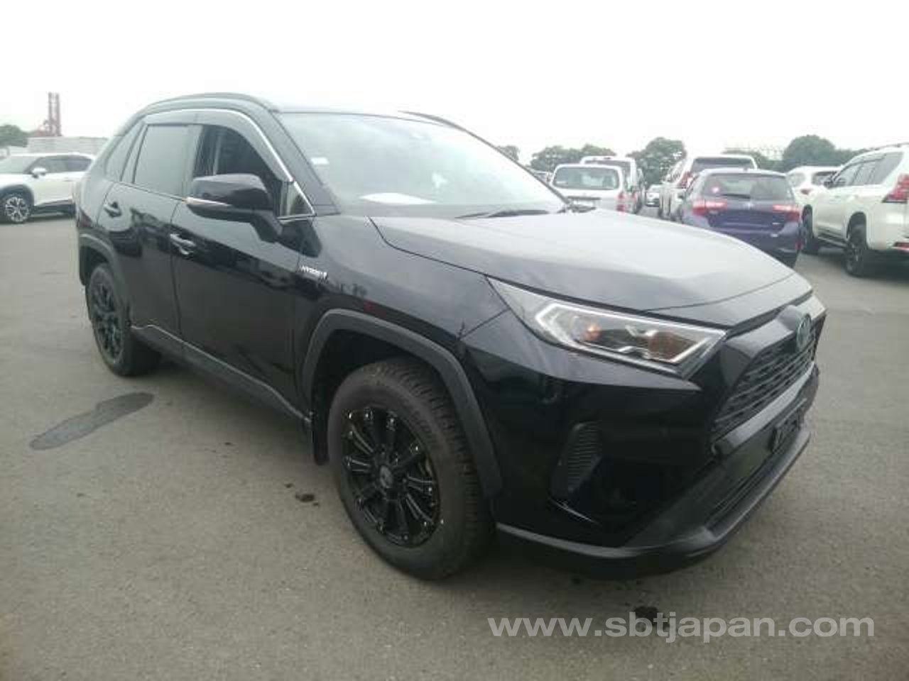 2019 Toyota Rav4, photo 1 of 1