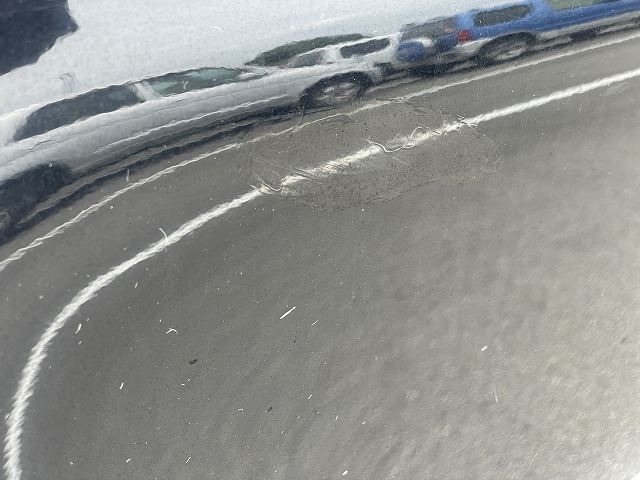 281.jpg