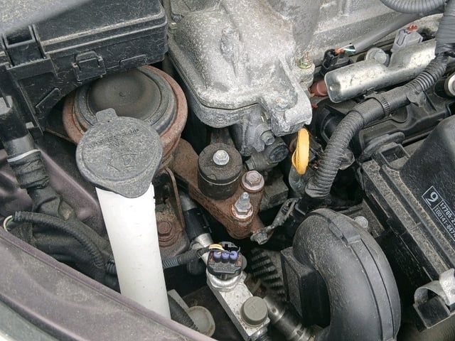 307.jpg
