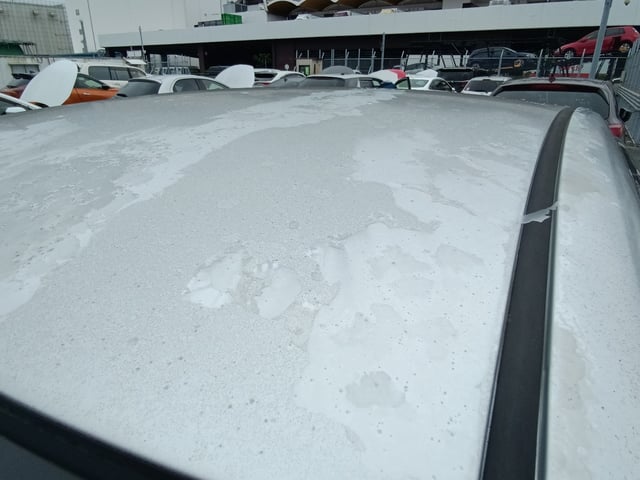281.jpg