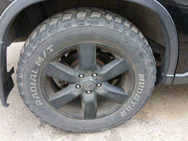 13.jpg