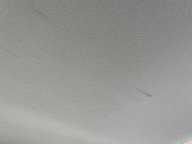281.jpg