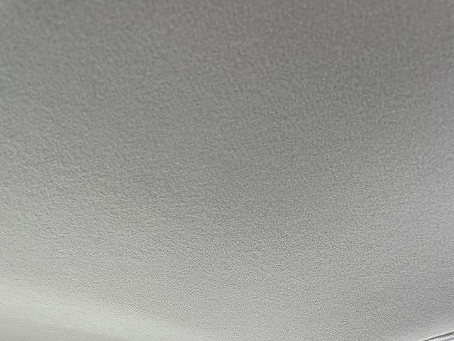 283.jpg