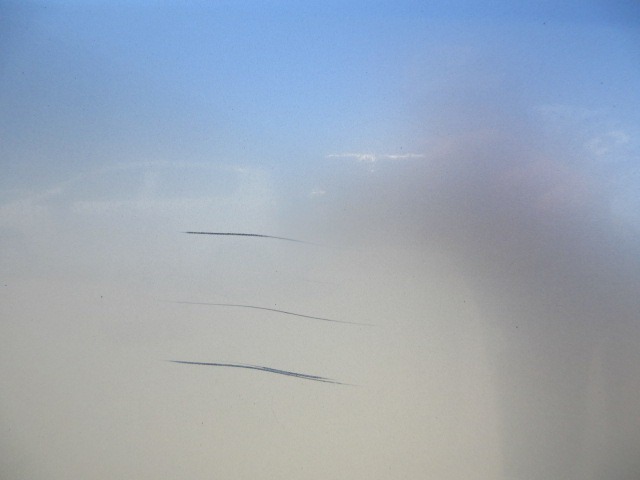291.jpg