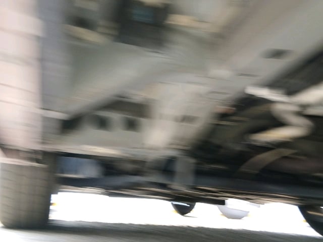 294.jpg