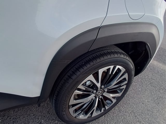 282.jpg