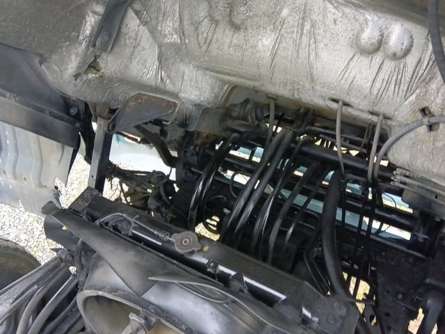 315.jpg